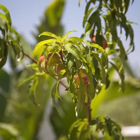 Villa Seaview Luxury Jacuzzi & Pool! 2 Min *