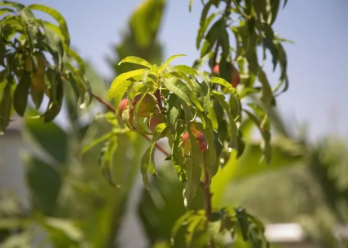 Villa Seaview Luxury Jacuzzi & Pool! 2 Min *