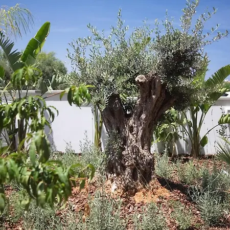 Seaview Luxury Jacuzzi & Pool! 2 Min *