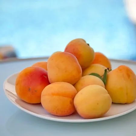 Seaview Luxury Jacuzzi & Pool! 2 Min Villa