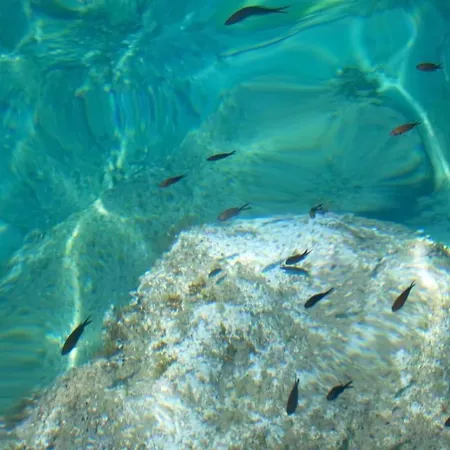 Seaview Luxury Jacuzzi & Pool! 2 Min *
