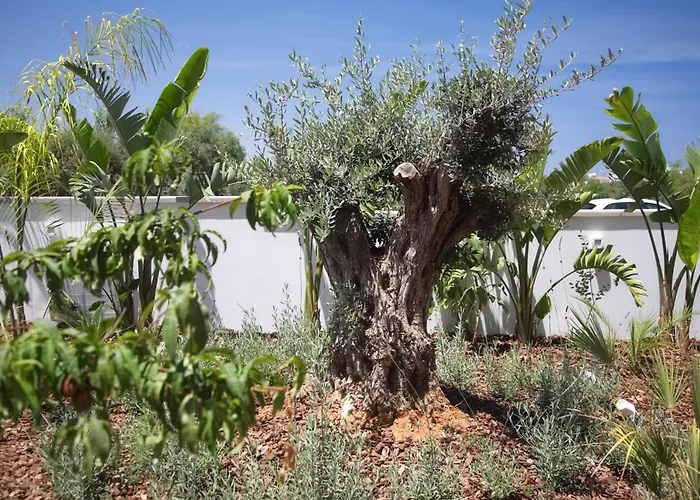 Seaview Luxury Jacuzzi & Pool! 2 Min *