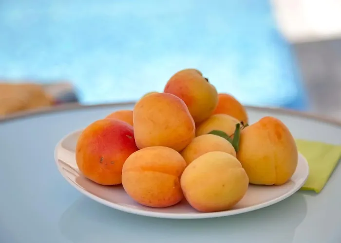 Seaview Luxury Jacuzzi & Pool! 2 Min 别墅